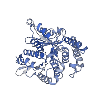 20602_6u0t_L_v1-4
Protofilament Ribbon Flagellar Proteins Rib43a-S