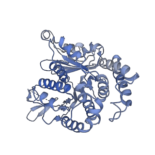 20602_6u0t_M_v1-3
Protofilament Ribbon Flagellar Proteins Rib43a-S