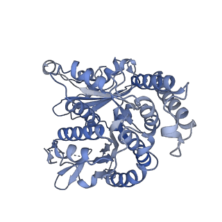 20602_6u0u_B_v1-3
Protofilament Ribbon Flagellar Proteins Rib43a-L