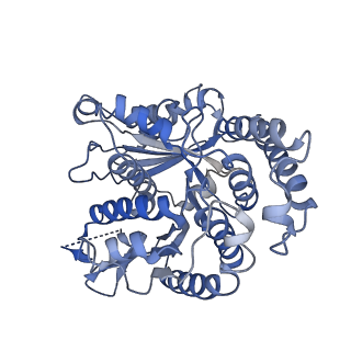 20602_6u0u_C_v1-3
Protofilament Ribbon Flagellar Proteins Rib43a-L
