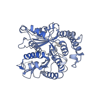 20602_6u0u_C_v1-4
Protofilament Ribbon Flagellar Proteins Rib43a-L