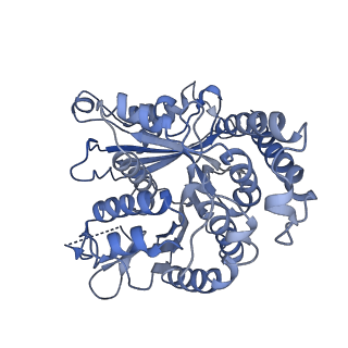 20602_6u0u_D_v1-3
Protofilament Ribbon Flagellar Proteins Rib43a-L