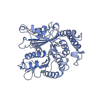 20602_6u0u_D_v1-4
Protofilament Ribbon Flagellar Proteins Rib43a-L