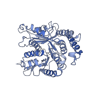20602_6u0u_E_v1-4
Protofilament Ribbon Flagellar Proteins Rib43a-L