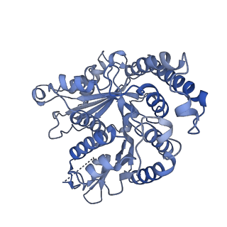 20602_6u0u_F_v1-3
Protofilament Ribbon Flagellar Proteins Rib43a-L