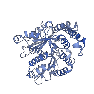 20602_6u0u_F_v1-4
Protofilament Ribbon Flagellar Proteins Rib43a-L