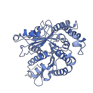20602_6u0u_G_v1-3
Protofilament Ribbon Flagellar Proteins Rib43a-L