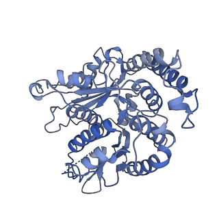 20602_6u0u_H_v1-3
Protofilament Ribbon Flagellar Proteins Rib43a-L