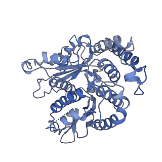 20602_6u0u_H_v1-4
Protofilament Ribbon Flagellar Proteins Rib43a-L