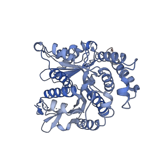 20602_6u0u_I_v1-3
Protofilament Ribbon Flagellar Proteins Rib43a-L