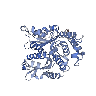 20602_6u0u_I_v1-4
Protofilament Ribbon Flagellar Proteins Rib43a-L