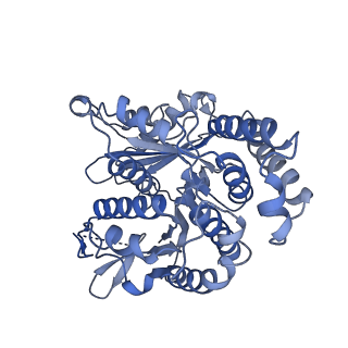 20602_6u0u_J_v1-3
Protofilament Ribbon Flagellar Proteins Rib43a-L