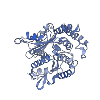 20602_6u0u_K_v1-3
Protofilament Ribbon Flagellar Proteins Rib43a-L