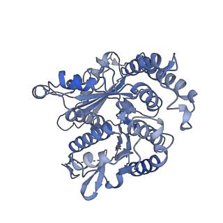 20602_6u0u_K_v1-4
Protofilament Ribbon Flagellar Proteins Rib43a-L