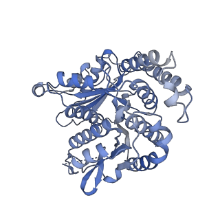 20602_6u0u_L_v1-3
Protofilament Ribbon Flagellar Proteins Rib43a-L
