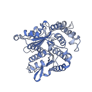 20602_6u0u_L_v1-4
Protofilament Ribbon Flagellar Proteins Rib43a-L