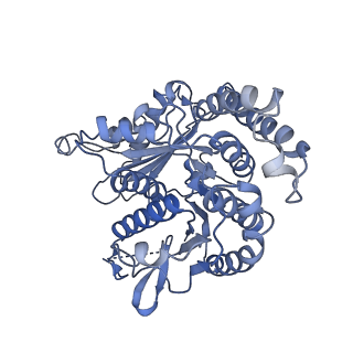 20602_6u0u_M_v1-3
Protofilament Ribbon Flagellar Proteins Rib43a-L