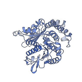 20602_6u0u_M_v1-4
Protofilament Ribbon Flagellar Proteins Rib43a-L