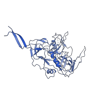 20605_6u0l_B_v1-1
Asymmetrically open conformational state (Class I) of HIV-1 Env trimer BG505 SOSIP.664 in complex with sCD4 and E51 Fab