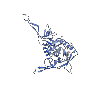 20605_6u0l_C_v2-1
Asymmetrically open conformational state (Class I) of HIV-1 Env trimer BG505 SOSIP.664 in complex with sCD4 and E51 Fab