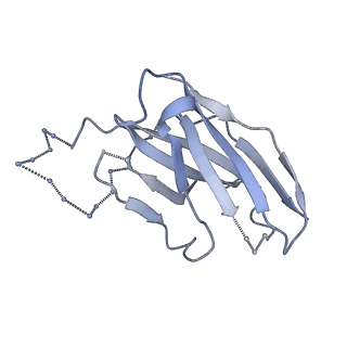 20605_6u0l_H_v1-1
Asymmetrically open conformational state (Class I) of HIV-1 Env trimer BG505 SOSIP.664 in complex with sCD4 and E51 Fab