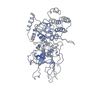 20607_6u0m_2_v1-0
Structure of the S. cerevisiae replicative helicase CMG in complex with a forked DNA