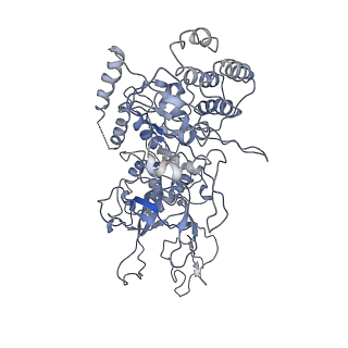 20607_6u0m_2_v2-1
Structure of the S. cerevisiae replicative helicase CMG in complex with a forked DNA