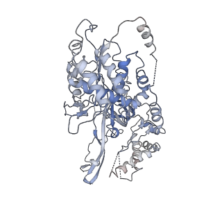 20607_6u0m_3_v1-0
Structure of the S. cerevisiae replicative helicase CMG in complex with a forked DNA