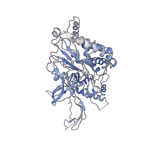 20607_6u0m_5_v1-0
Structure of the S. cerevisiae replicative helicase CMG in complex with a forked DNA