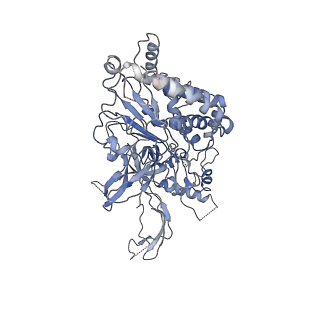 20607_6u0m_5_v2-1
Structure of the S. cerevisiae replicative helicase CMG in complex with a forked DNA