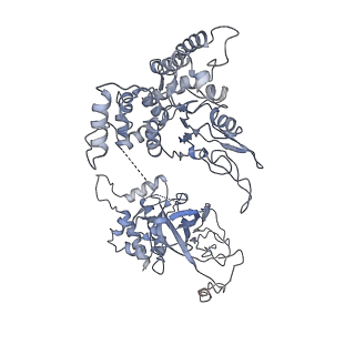 20607_6u0m_6_v1-0
Structure of the S. cerevisiae replicative helicase CMG in complex with a forked DNA