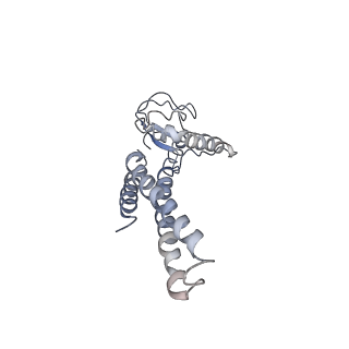 20607_6u0m_A_v2-1
Structure of the S. cerevisiae replicative helicase CMG in complex with a forked DNA