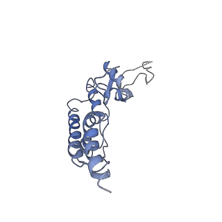 20607_6u0m_B_v2-1
Structure of the S. cerevisiae replicative helicase CMG in complex with a forked DNA