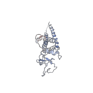 20607_6u0m_D_v1-0
Structure of the S. cerevisiae replicative helicase CMG in complex with a forked DNA
