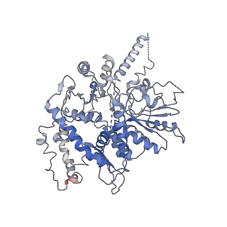20607_6u0m_E_v1-0
Structure of the S. cerevisiae replicative helicase CMG in complex with a forked DNA