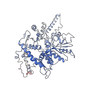 20607_6u0m_E_v2-1
Structure of the S. cerevisiae replicative helicase CMG in complex with a forked DNA