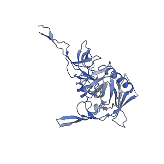 20608_6u0n_B_v1-1
Asymmetrically open conformational state (Class II) of HIV-1 Env trimer BG505 SOSIP.664 in complex with sCD4 and E51 Fab