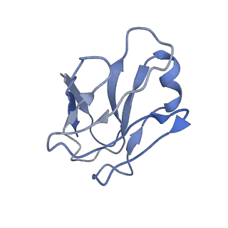 20608_6u0n_F_v1-1
Asymmetrically open conformational state (Class II) of HIV-1 Env trimer BG505 SOSIP.664 in complex with sCD4 and E51 Fab