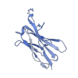 20608_6u0n_H_v1-1
Asymmetrically open conformational state (Class II) of HIV-1 Env trimer BG505 SOSIP.664 in complex with sCD4 and E51 Fab