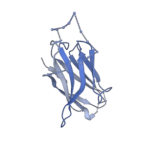 20608_6u0n_I_v1-1
Asymmetrically open conformational state (Class II) of HIV-1 Env trimer BG505 SOSIP.664 in complex with sCD4 and E51 Fab