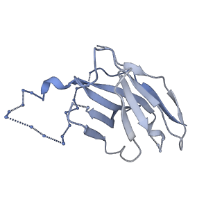 20608_6u0n_P_v1-1
Asymmetrically open conformational state (Class II) of HIV-1 Env trimer BG505 SOSIP.664 in complex with sCD4 and E51 Fab