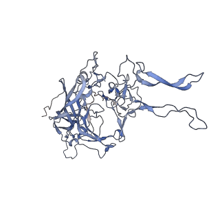 20609_6u0r_1_v1-0
Cryo-EM structure of the chimeric vector AAV2.7m8