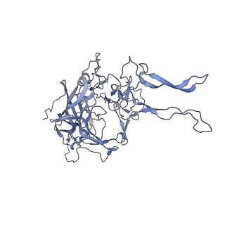 20609_6u0r_1_v1-1
Cryo-EM structure of the chimeric vector AAV2.7m8