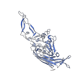 20609_6u0r_5_v1-0
Cryo-EM structure of the chimeric vector AAV2.7m8