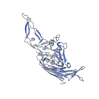 20609_6u0r_5_v1-1
Cryo-EM structure of the chimeric vector AAV2.7m8