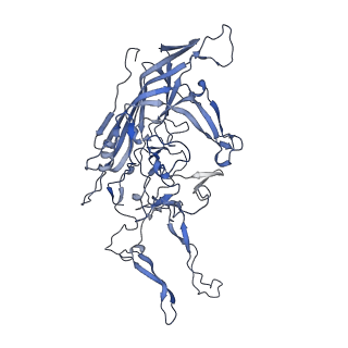 20609_6u0r_H_v1-1
Cryo-EM structure of the chimeric vector AAV2.7m8