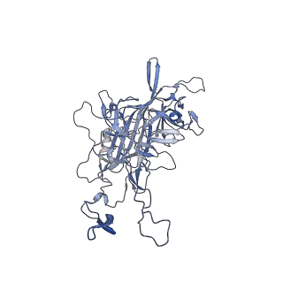 20609_6u0r_L_v1-0
Cryo-EM structure of the chimeric vector AAV2.7m8