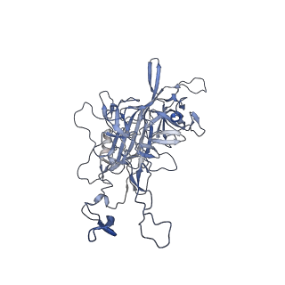 20609_6u0r_L_v1-1
Cryo-EM structure of the chimeric vector AAV2.7m8