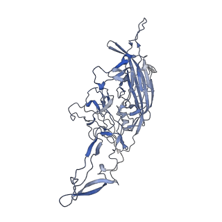 20609_6u0r_N_v1-0
Cryo-EM structure of the chimeric vector AAV2.7m8