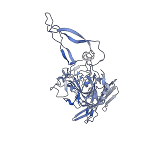 20609_6u0r_P_v1-0
Cryo-EM structure of the chimeric vector AAV2.7m8